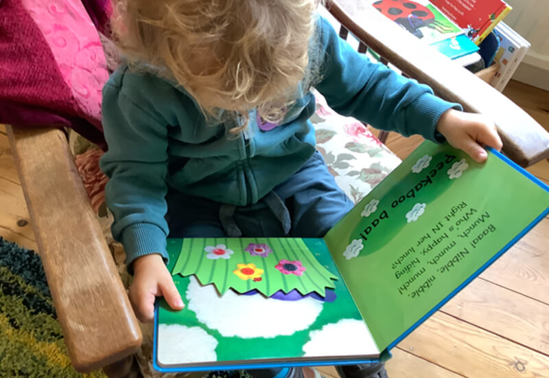 toddler reading book